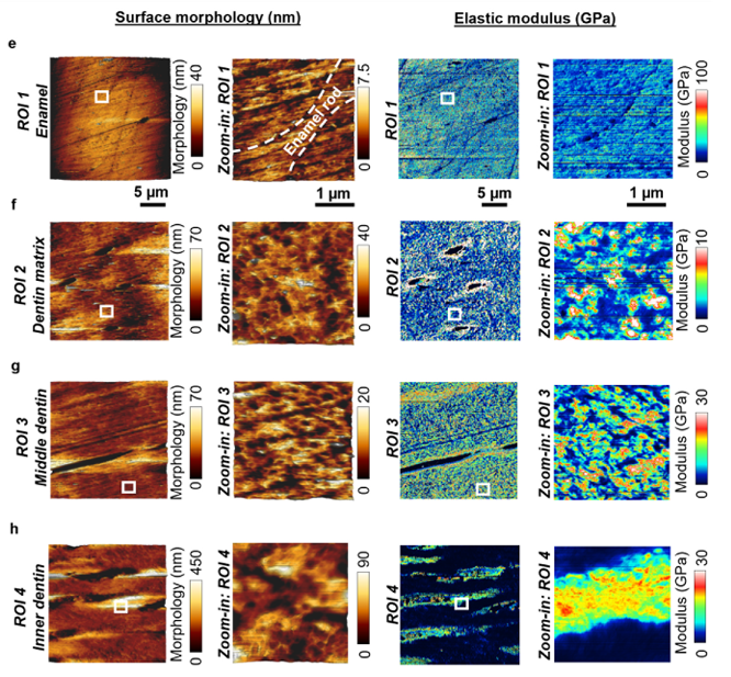 圖片2.png 圖片2.png