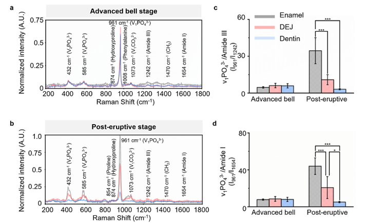 圖片3.png 圖片3.png