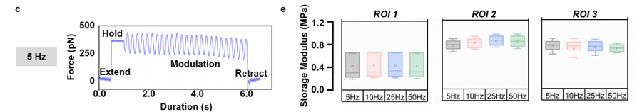 圖片4.png 圖片4.png
