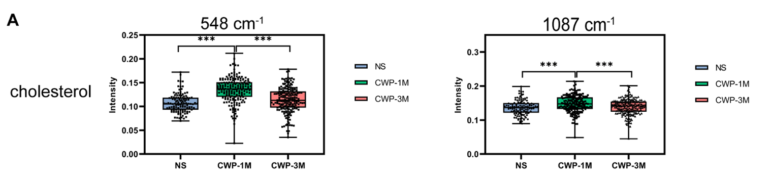 圖片2.png 圖片2.png
