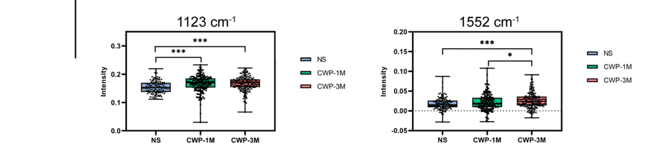 圖片5.png 圖片5.png