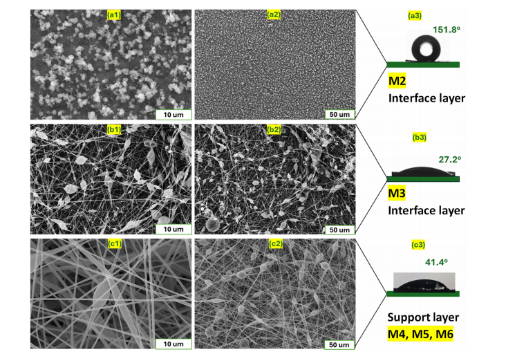 界面層與支撐層的形貌及表面特性.png 界面層與支撐層的形貌及表面特性.png